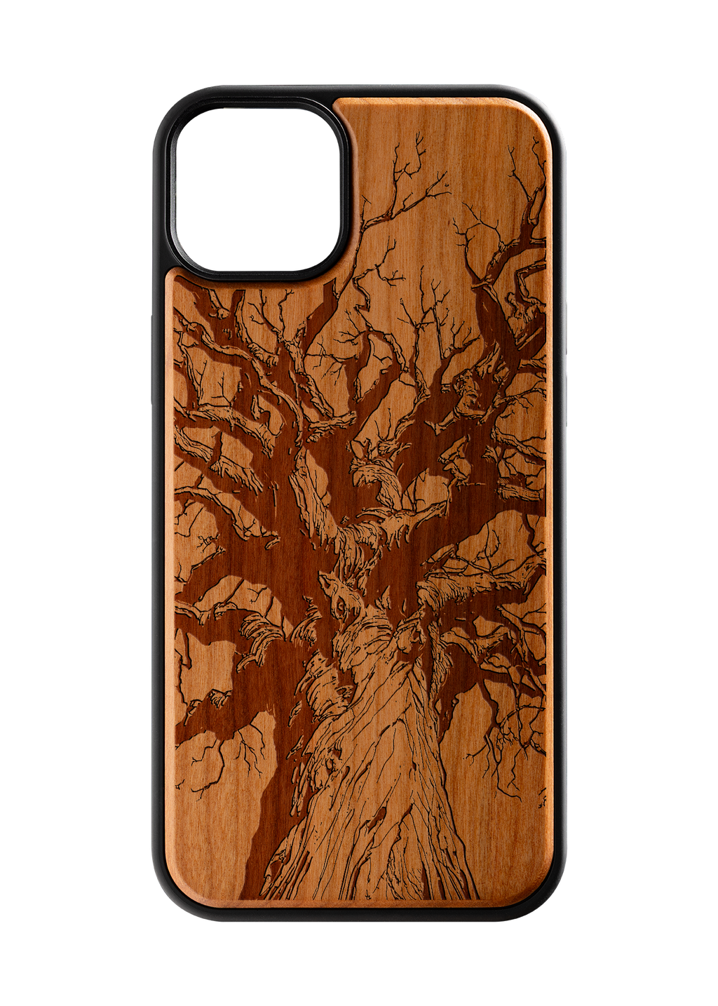 Branches