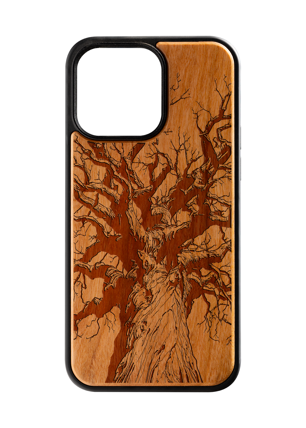 Branches