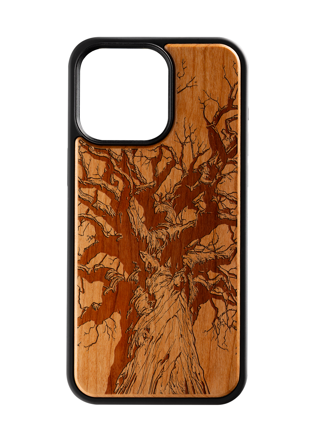 Branches