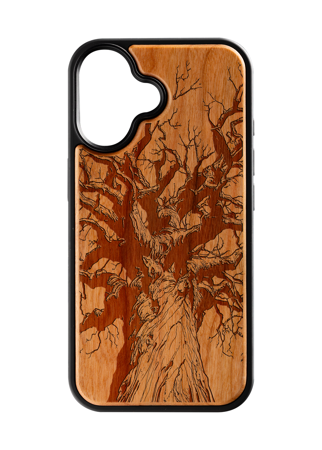 Branches