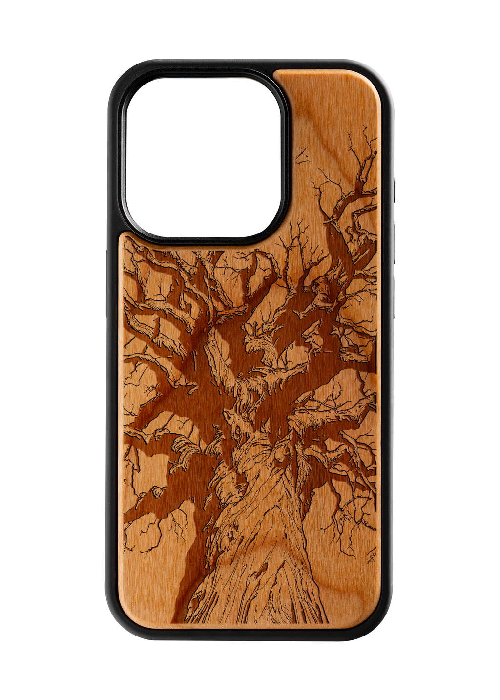 Branches