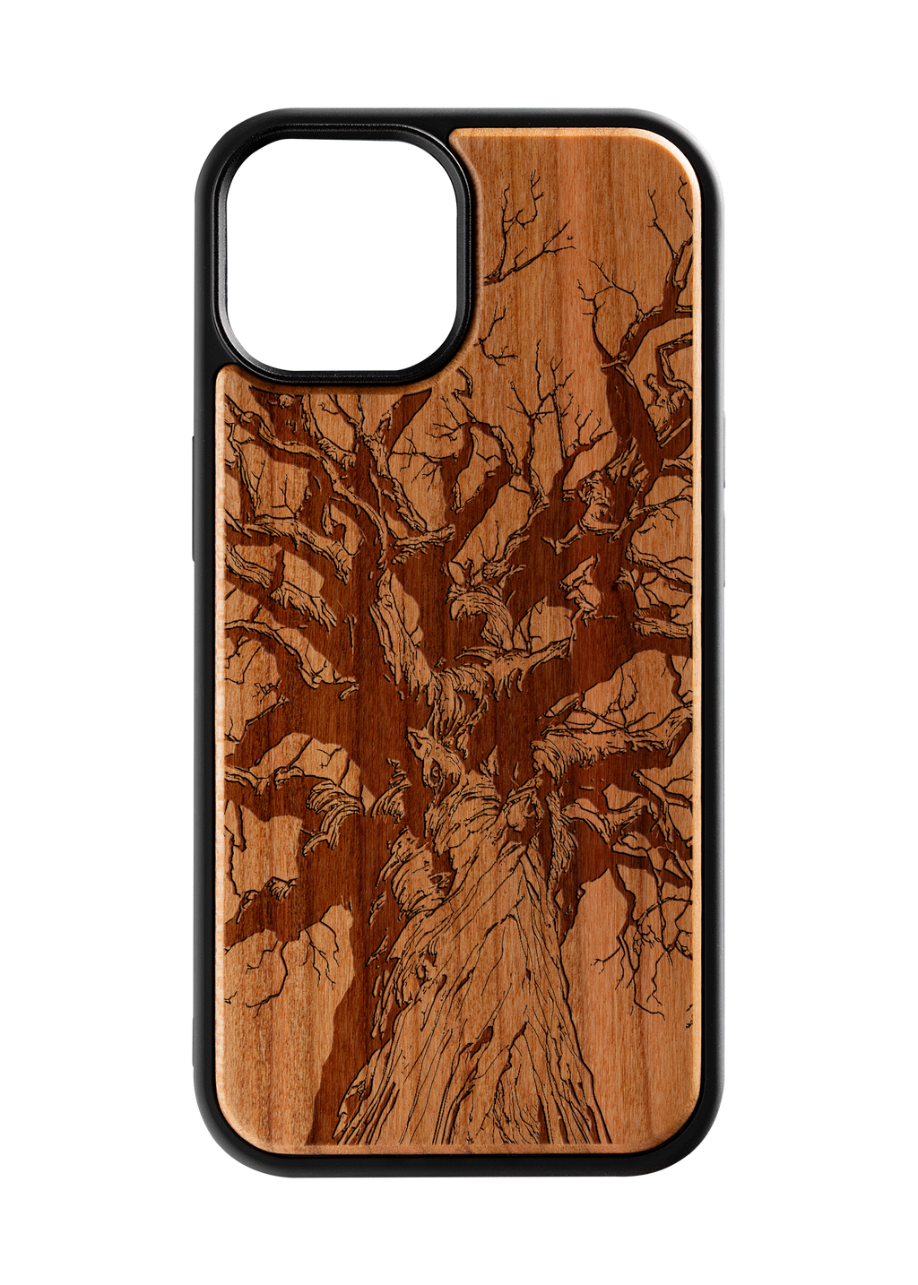 Branches