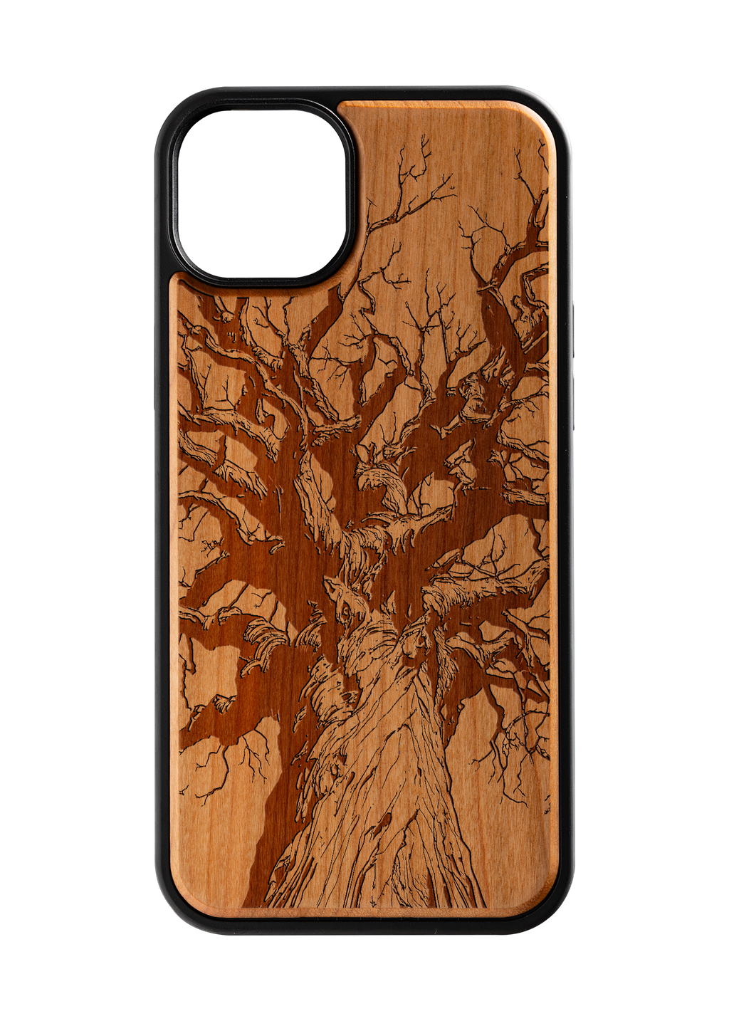 Branches