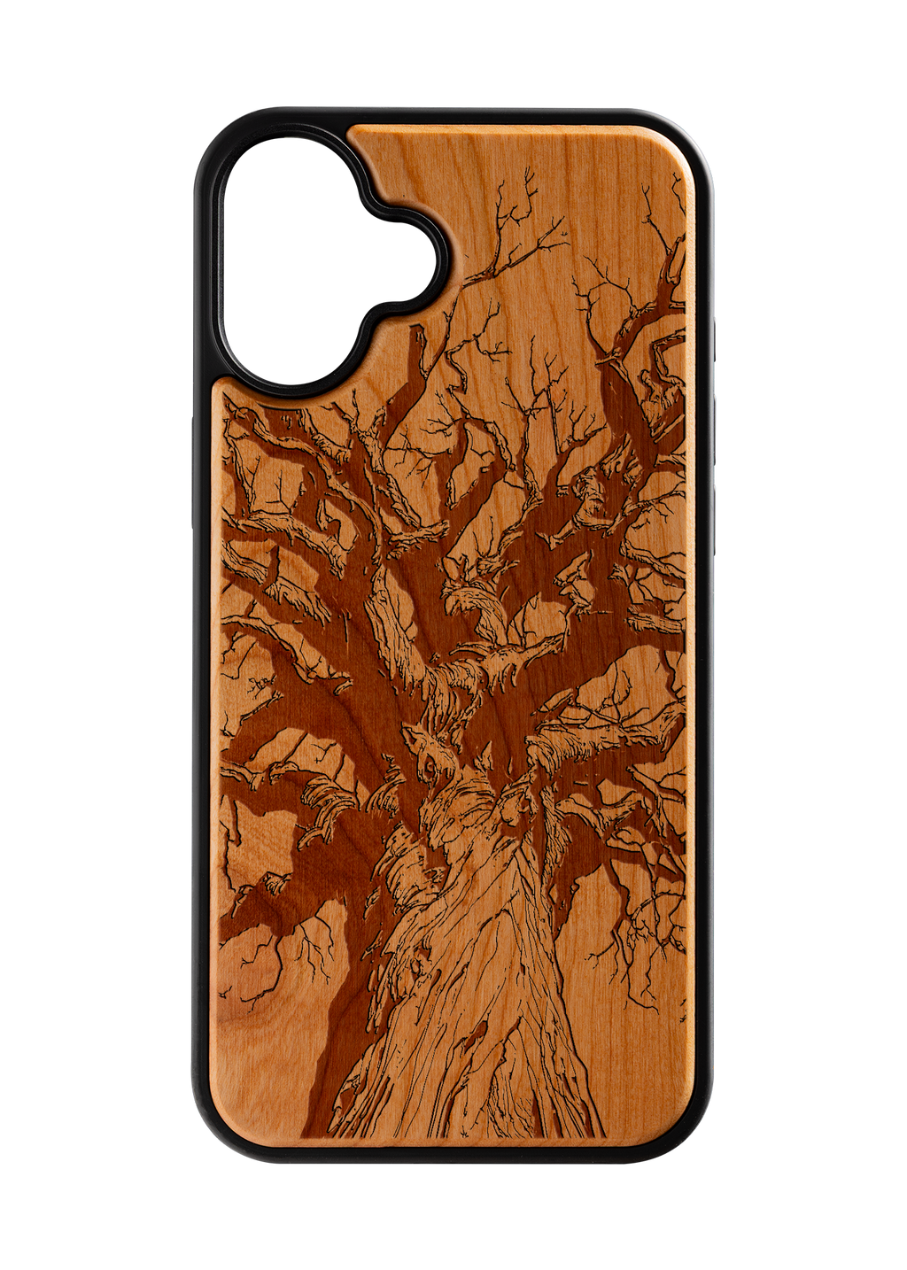 Branches