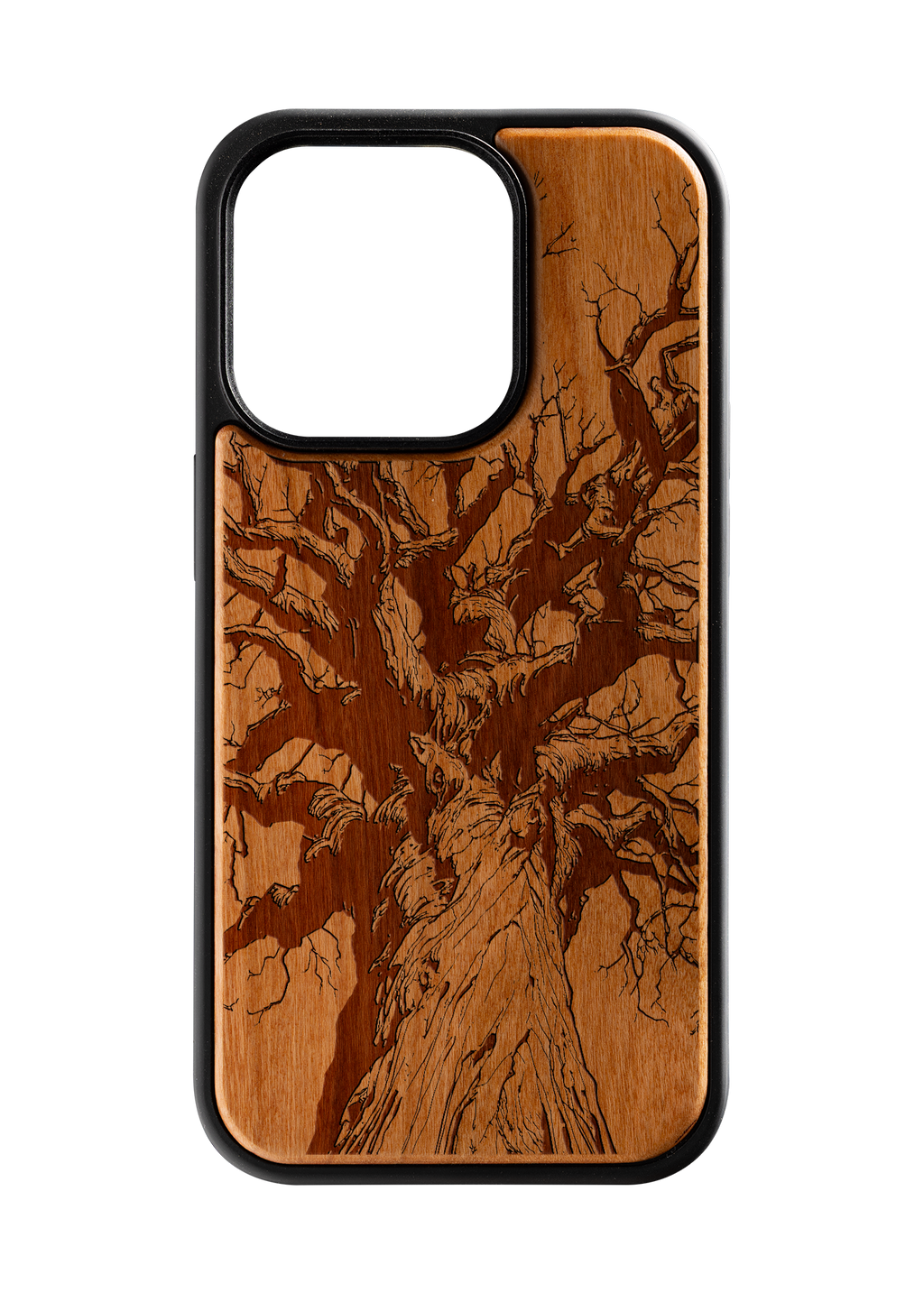 Branches