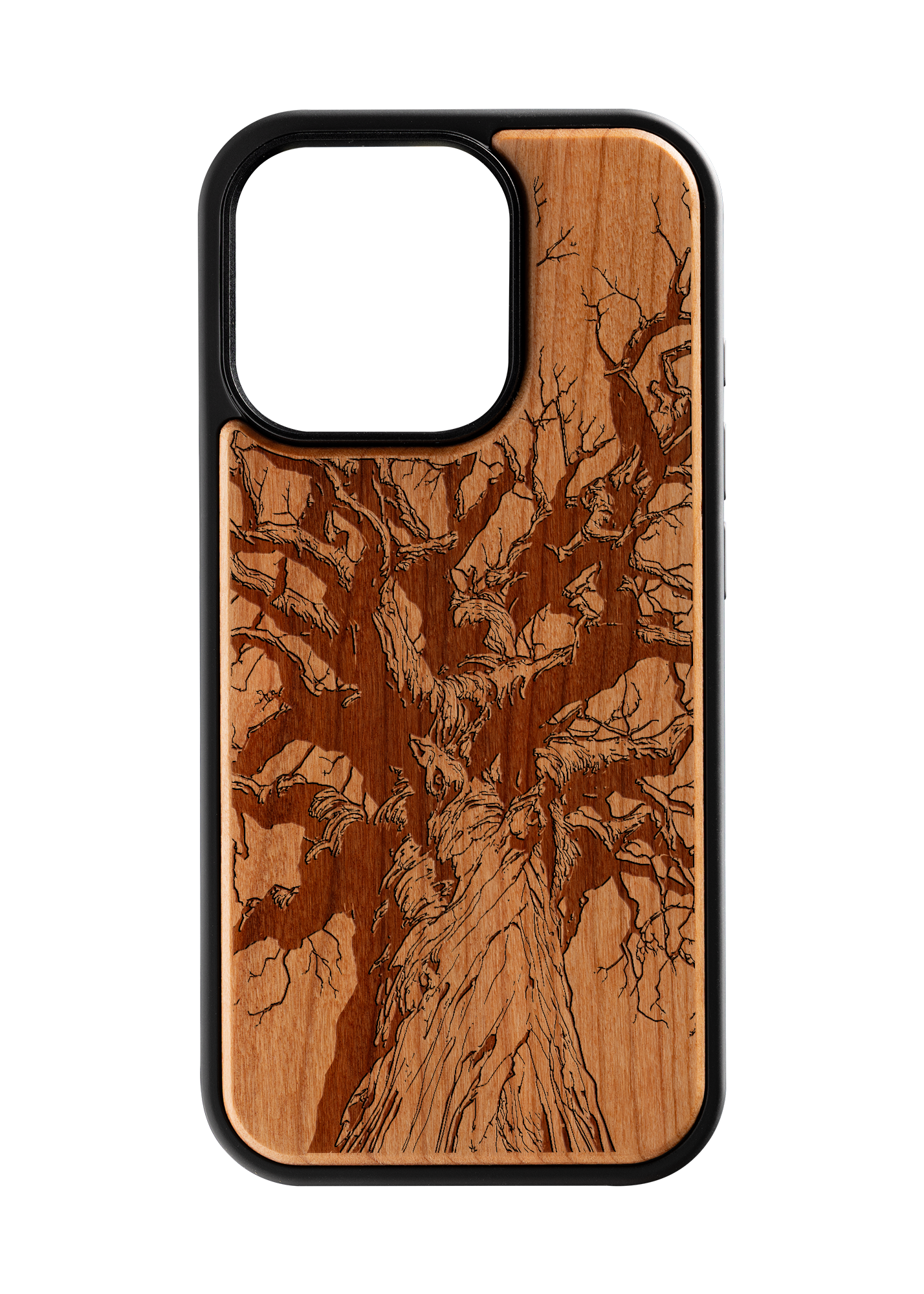 Husa IPhone 16 PRO Branches